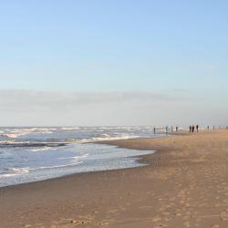 's-Gravenzande 3 luxury tents