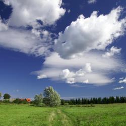 Borcz 4 dzīvokļi