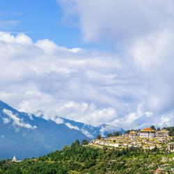 Tawang 45 hotels