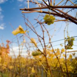 Sv&auml;t&yacute; Jur 5 hot&eacute;is com estacionamento