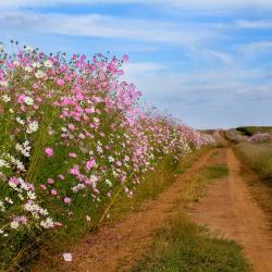 Lichtenburg 5 hotel con piscina