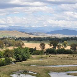 Corryong 8 hotelli