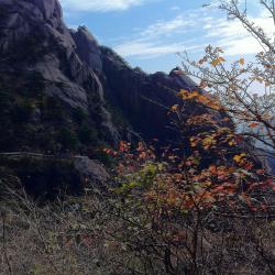 Huangshan 21 hotelov