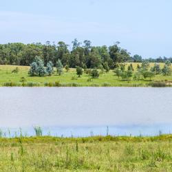 Garz&oacute;n 3 hot&eacute;is com estacionamento