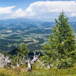 Feistritz ob Bleiburg 3 hotelli