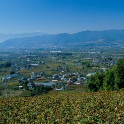 Koshu 4 villas