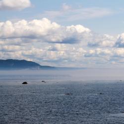 Baie-Comeau 6 hotels