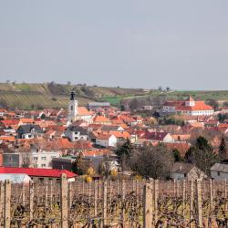 Čejkovice 3 4-star hotels