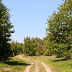 Vierlingsbeek 5 hotéis
