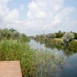 Dunavăţu de Jos 20 hotel