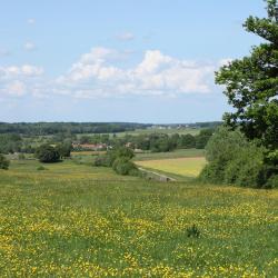 Orchamps-Vennes فندقان