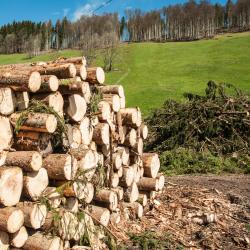 Hergiswil 4 hot&eacute;is com estacionamento