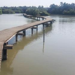 Qiryat Bialik 3 hotely
