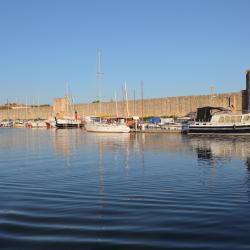 Le Grau-du-Roi 42 campings