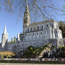 Lourdes 14 B&Bs