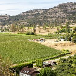 Cawston 1 hotel