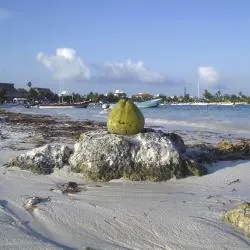 Akumal 189 hotels