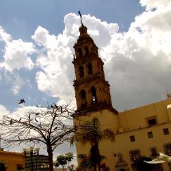 Le&oacute;n 173 hotels