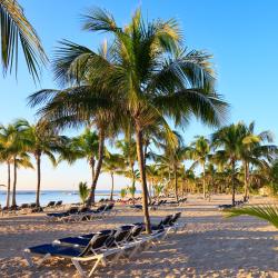 Playa del Carmen 3355 hotels