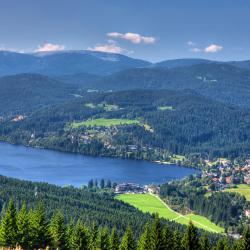 Feldberg 4 guest houses