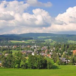 Hinterzarten 3 guest houses
