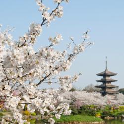 Wuhan 107 4-star hotels