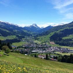 Kirchberg in Tirol 6 penginapan di ladang