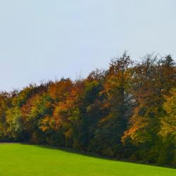 Beerfelden 3 3-Sterne-Hotels