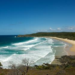 Mudjimba 42 hotels