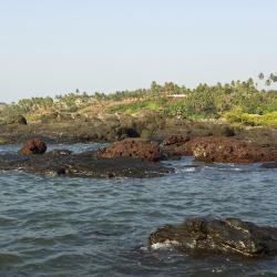 Anjuna 315 hotels