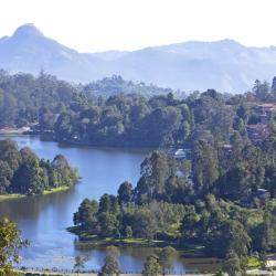 Kodaikanal 23 resorts