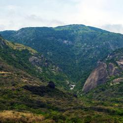 Lonavala 57 resorts