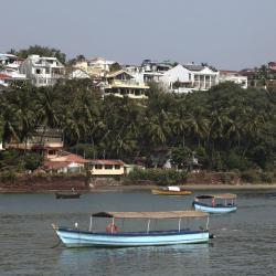 Panaji 13 villas