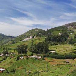 Ooty 104 habitaciones en casas particulares