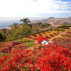 Funchal 8 Glamping Sites