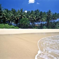 Mirissa (jih)