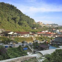 Tanah Rata 220 apartments