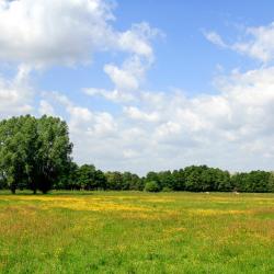 Großburgwedel 2 hotéis