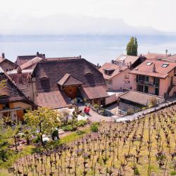 Chardonne 5 levných hotelů