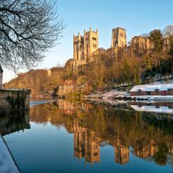 Durham 4 cabins
