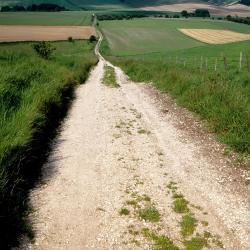 Lambourn 3 pet-friendly hotels