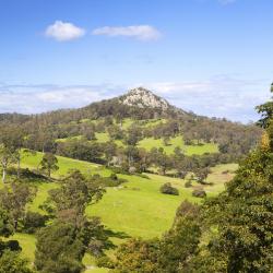 Central Tilba 5 farm stays