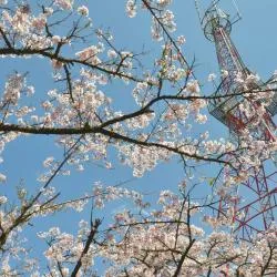 嘉義市 8軒のバケーションレンタル