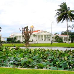 Bogor 12 resort