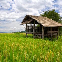 Pai 55 hostels