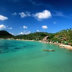 タオ島 71軒のリゾート