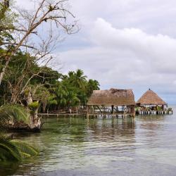 Boca del Drago 2 hotels