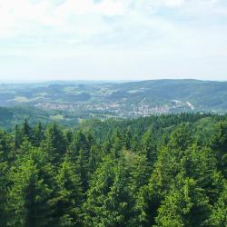 Rumburk 12 vacation rentals