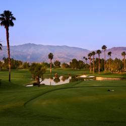 Palm Springs 750 vacation homes