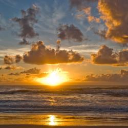 Barequeçaba 4 pet-friendly hotels